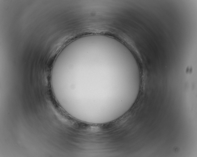 X0000111390114200907101010