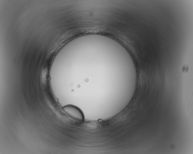 X0000111390118200907101010