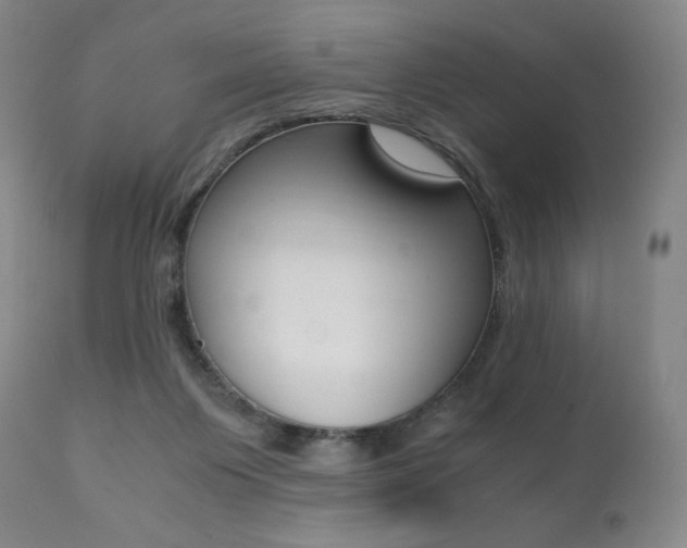 X0000111390119200907101010