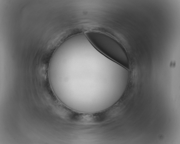 X0000111390121200907101010
