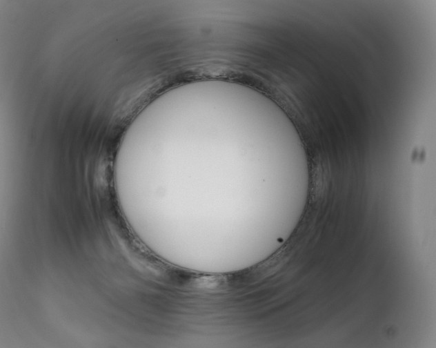 X0000111390126200907101010