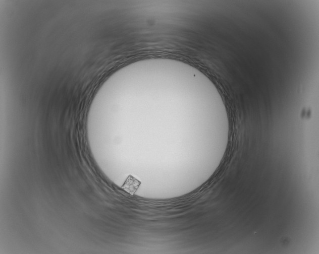 X0000111390129200907101010