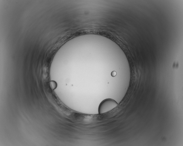 X0000111390130200907101010