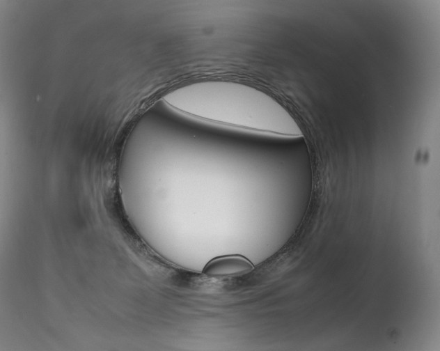 X0000111390131200907101010
