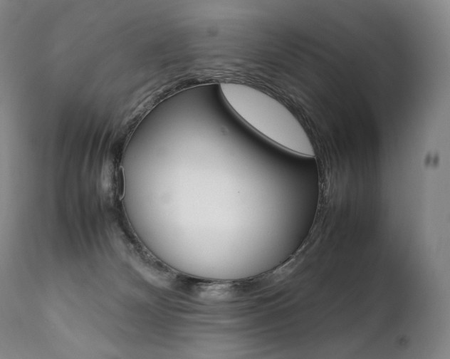 X0000111390132200907101010
