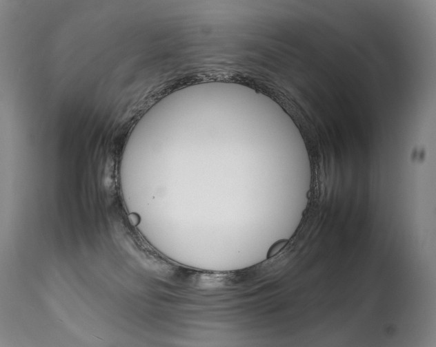 X0000111390134200907101010