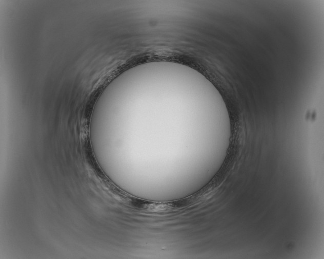 X0000111390135200907101010