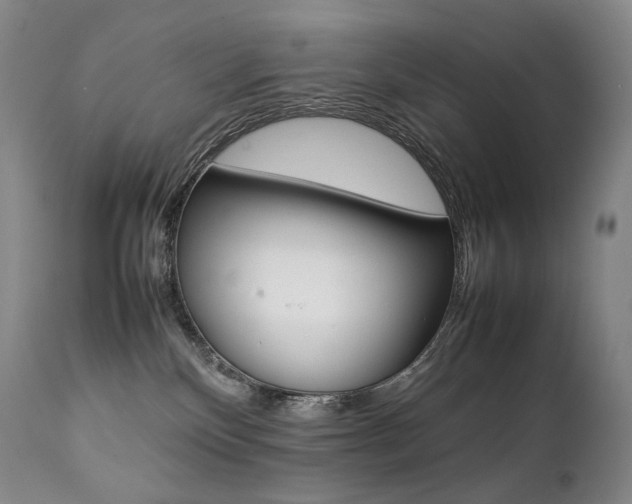 X0000111390136200907101010