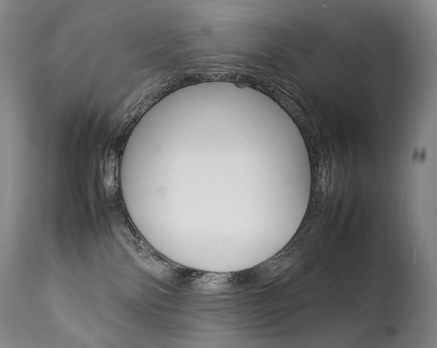 X0000111390138200907101010