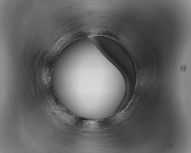 X0000111390140200907101010