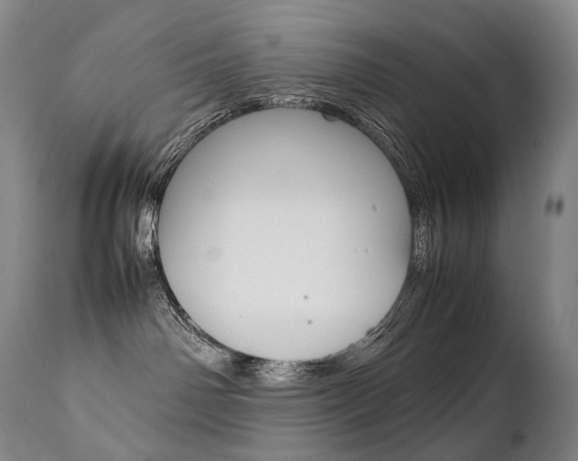 X0000111390142200907101010