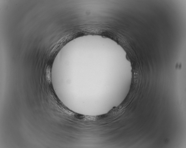 X0000111390143200907101010