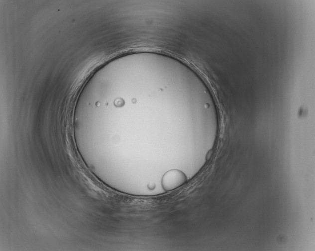 X0000111390145200907101009