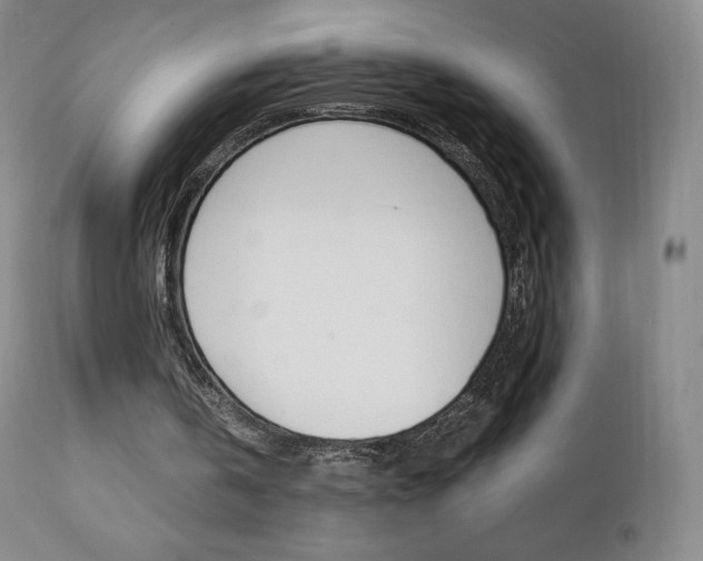 X0000111390146200907101009