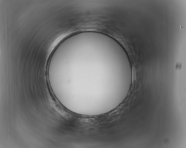 X0000111390147200907101009