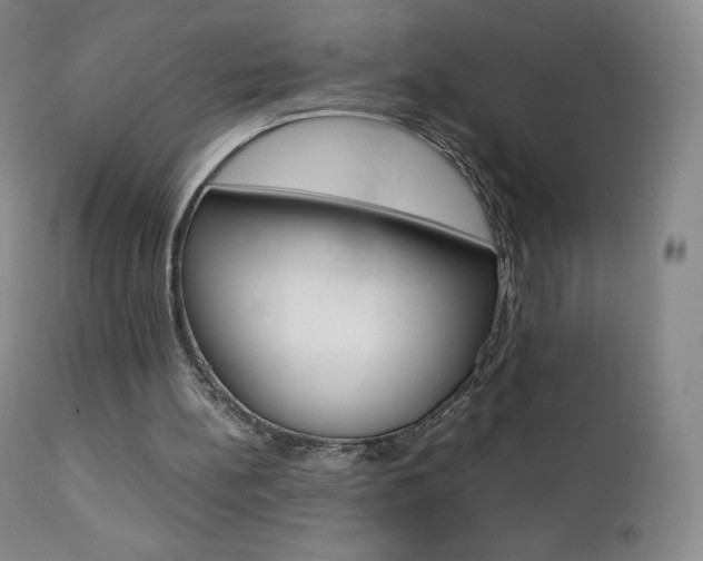 X0000111390148200907101009