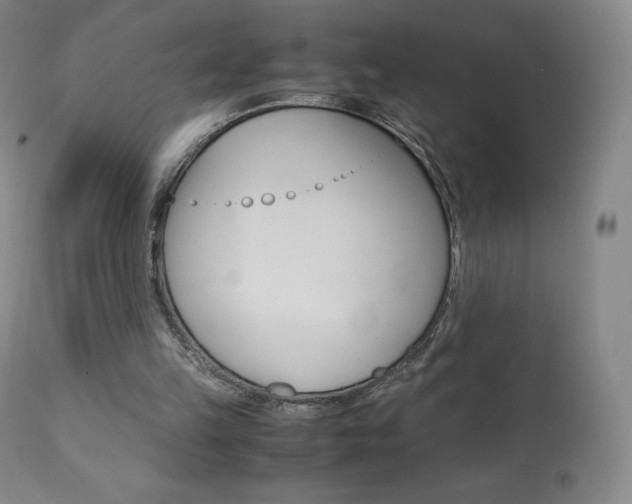 X0000111390149200907101009