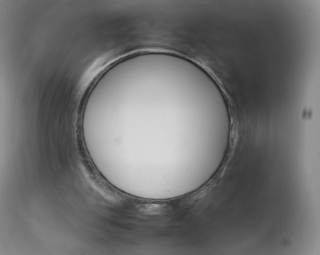 X0000111390151200907101009