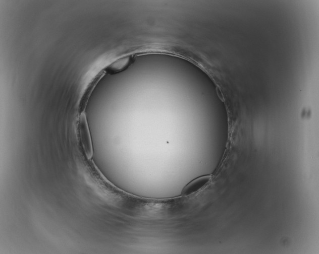 X0000111390152200907101009