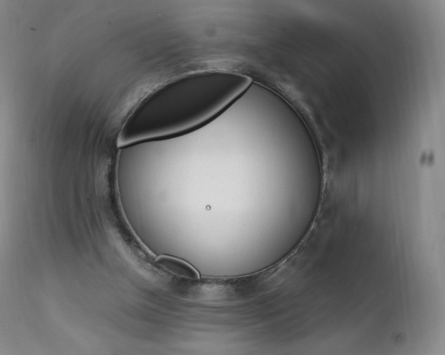 X0000111390154200907101009
