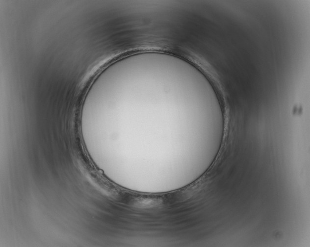 X0000111390155200907101009