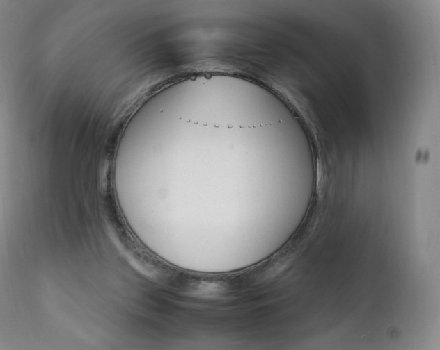 X0000111390157200907101009