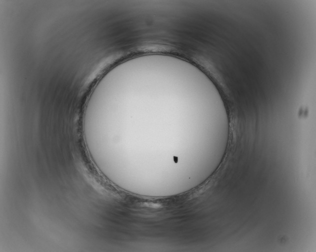 X0000111390159200907101009