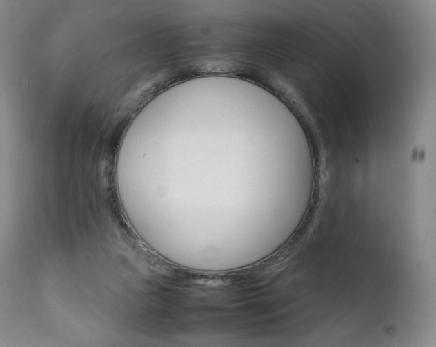 X0000111390161200907101009