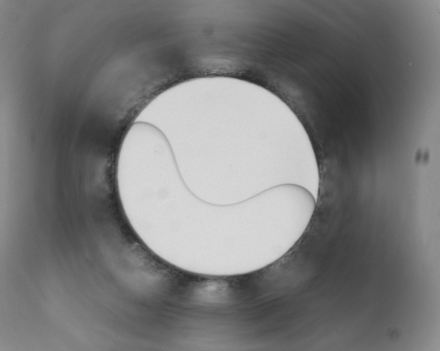 X0000111390162200907101009