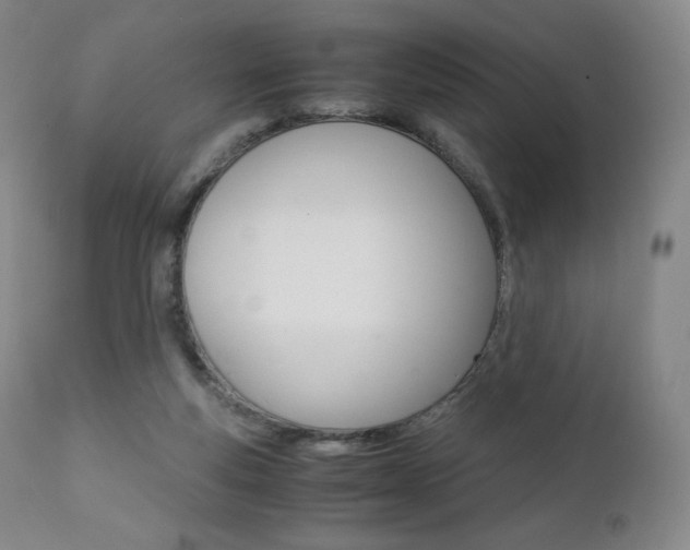 X0000111390163200907101009