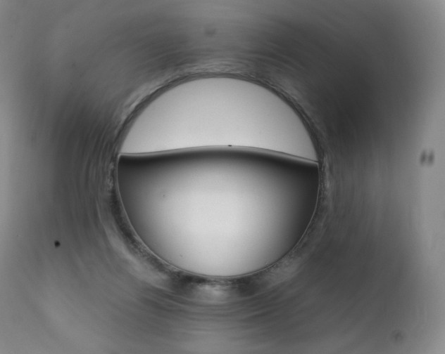 X0000111390164200907101009