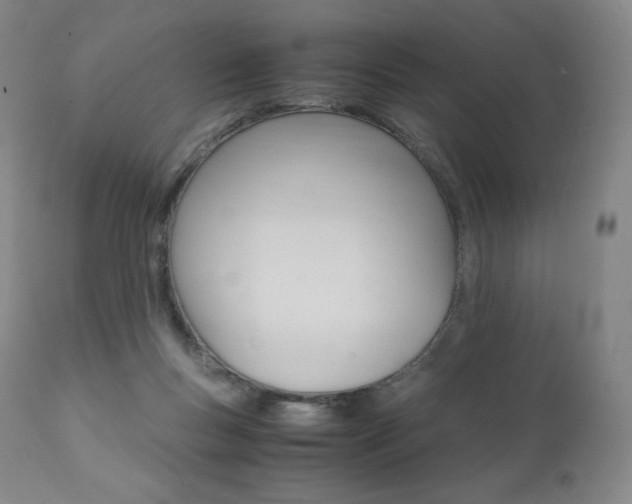 X0000111390167200907101010