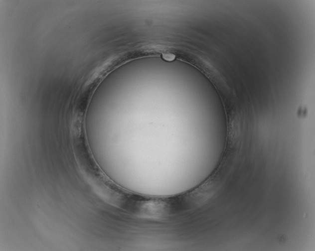 X0000111390168200907101010
