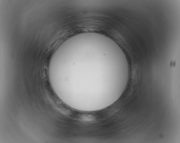 X0000111390169200907101010