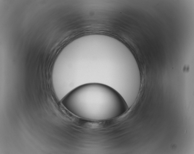 X0000111390170200907101010