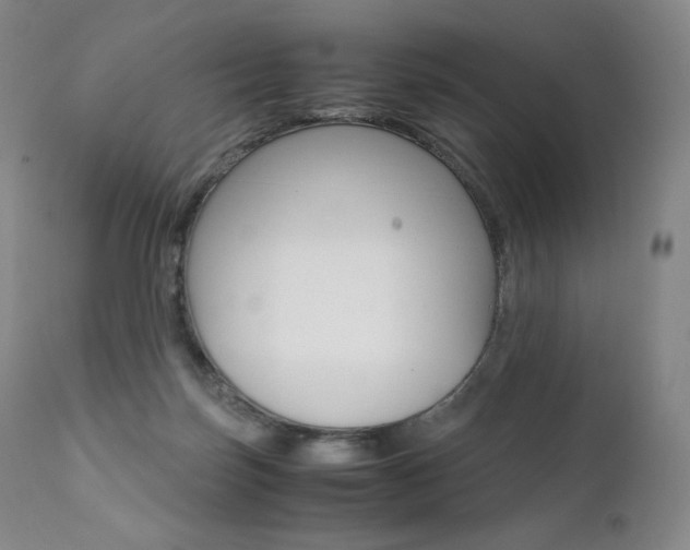X0000111390171200907101010