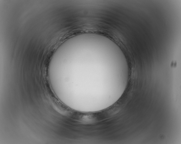 X0000111390173200907101010