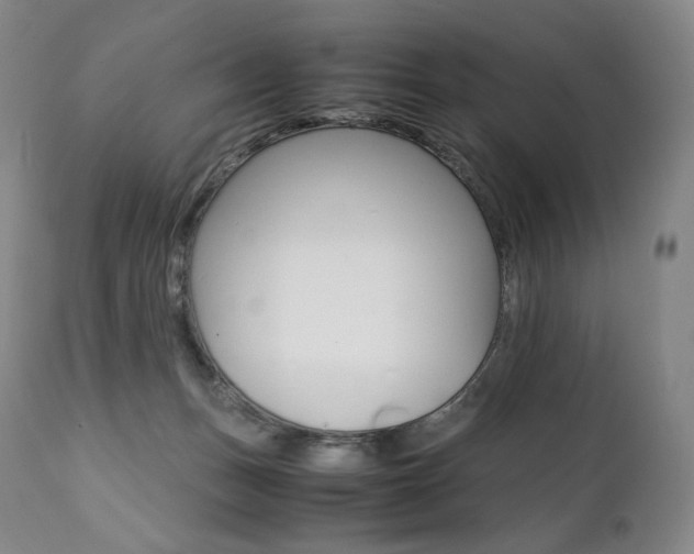 X0000111390175200907101010