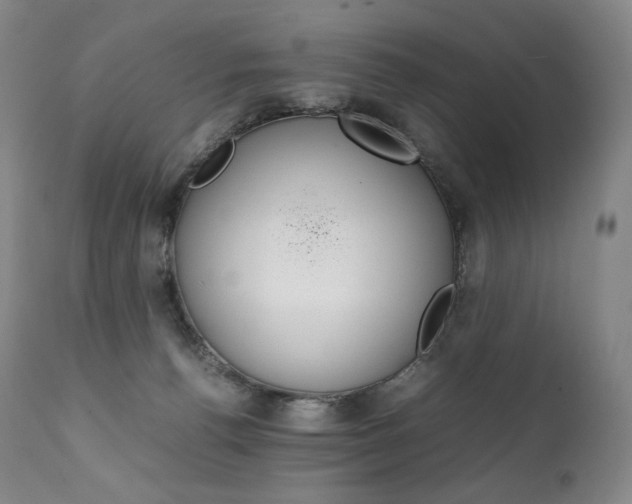 X0000111390176200907101010