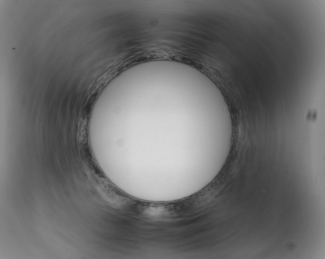 X0000111390177200907101010