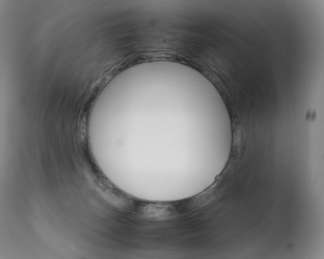 X0000111390179200907101010