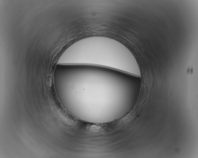 X0000111390180200907101010