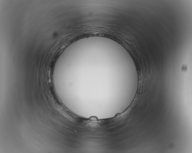 X0000111390182200907101010