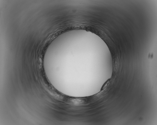X0000111390183200907101010