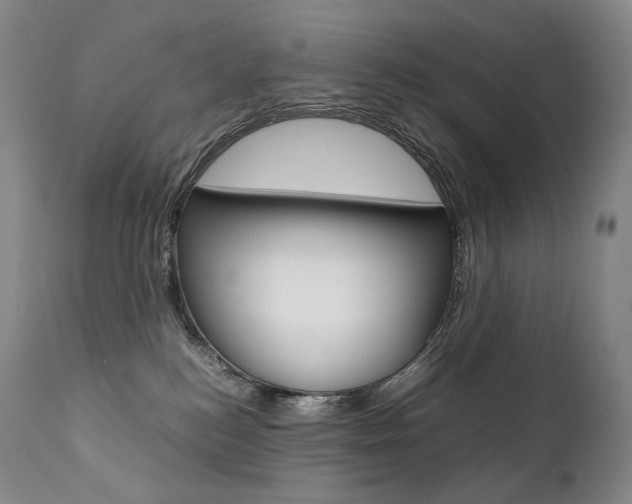 X0000111390184200907101010