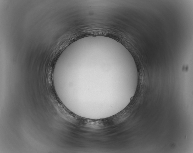 X0000111390185200907101010
