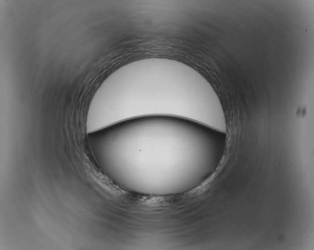 X0000111390186200907101010