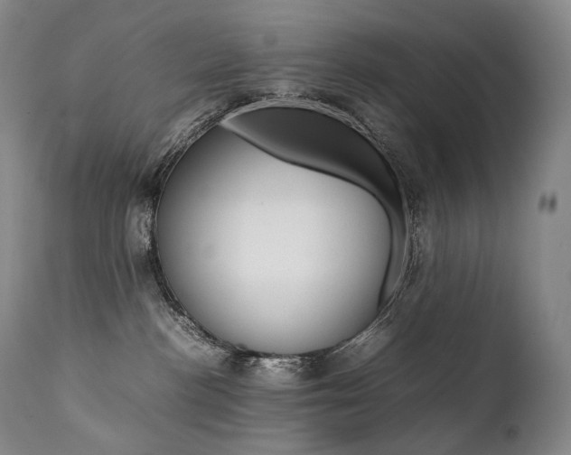 X0000111390188200907101010