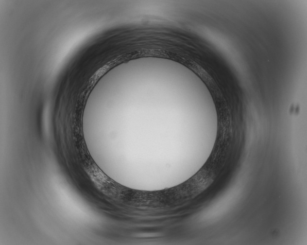 X0000111390189200907101010