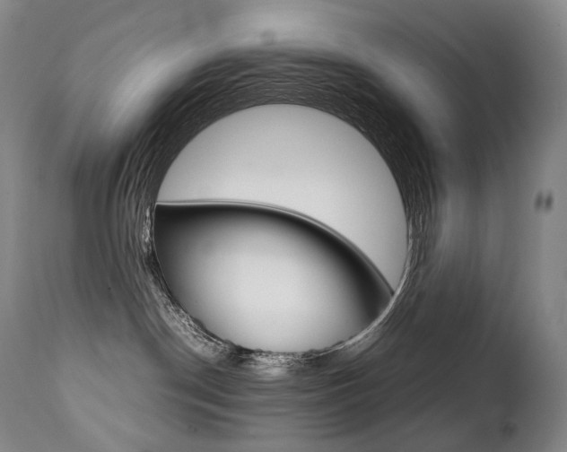 X0000111390190200907101010